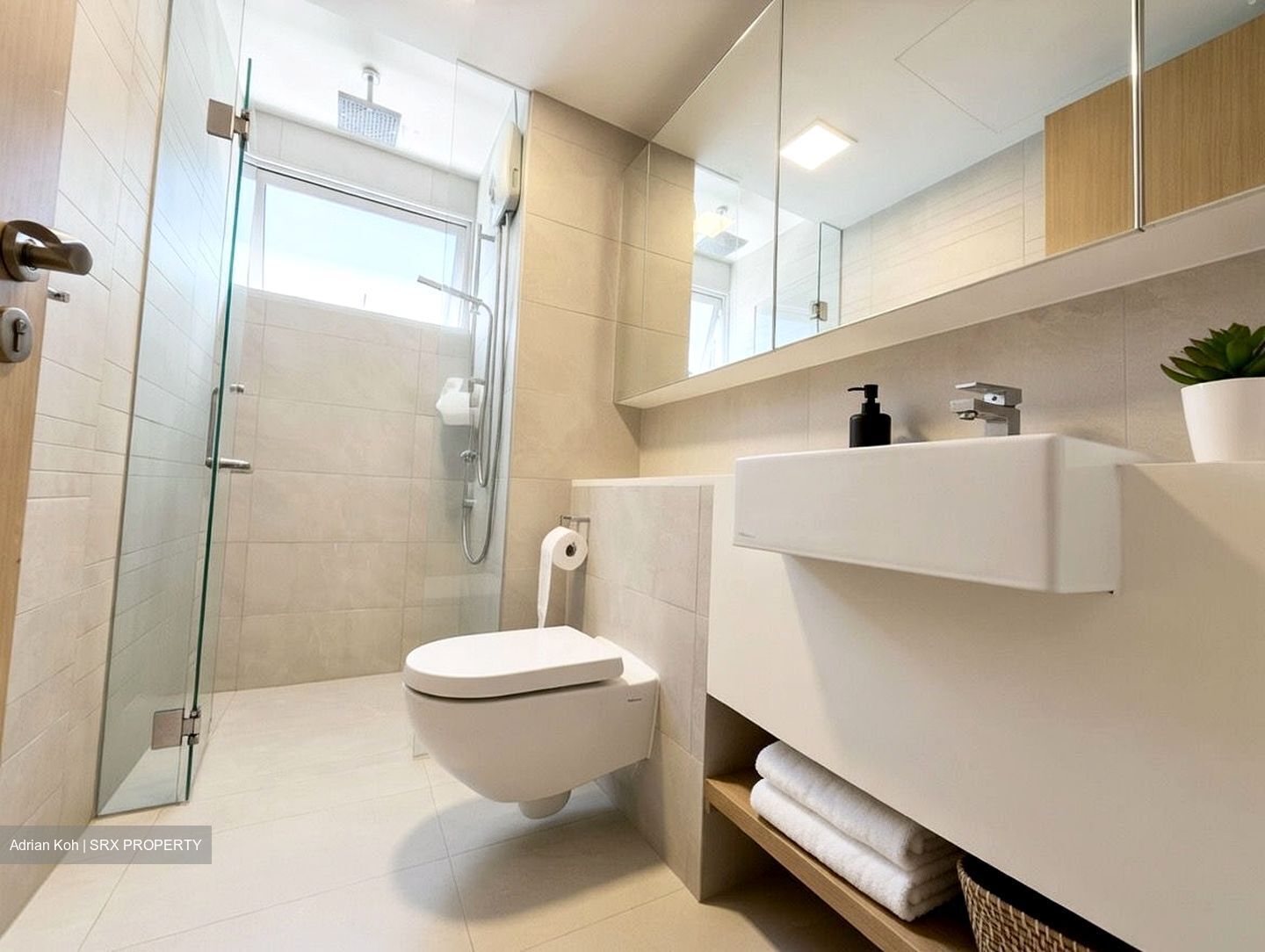 Eight Riversuites (D12), Condominium #543104051